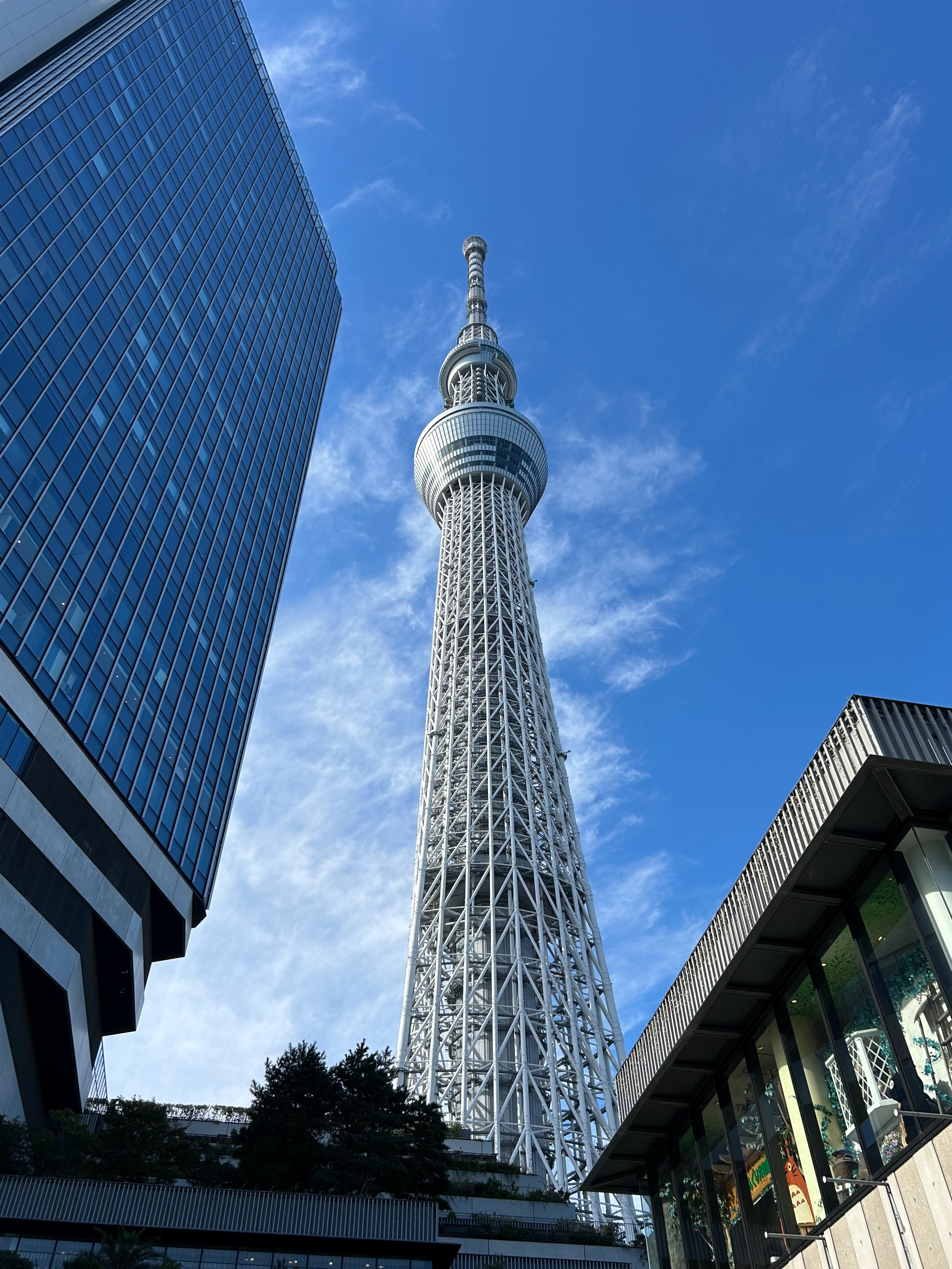 Sky Tree
